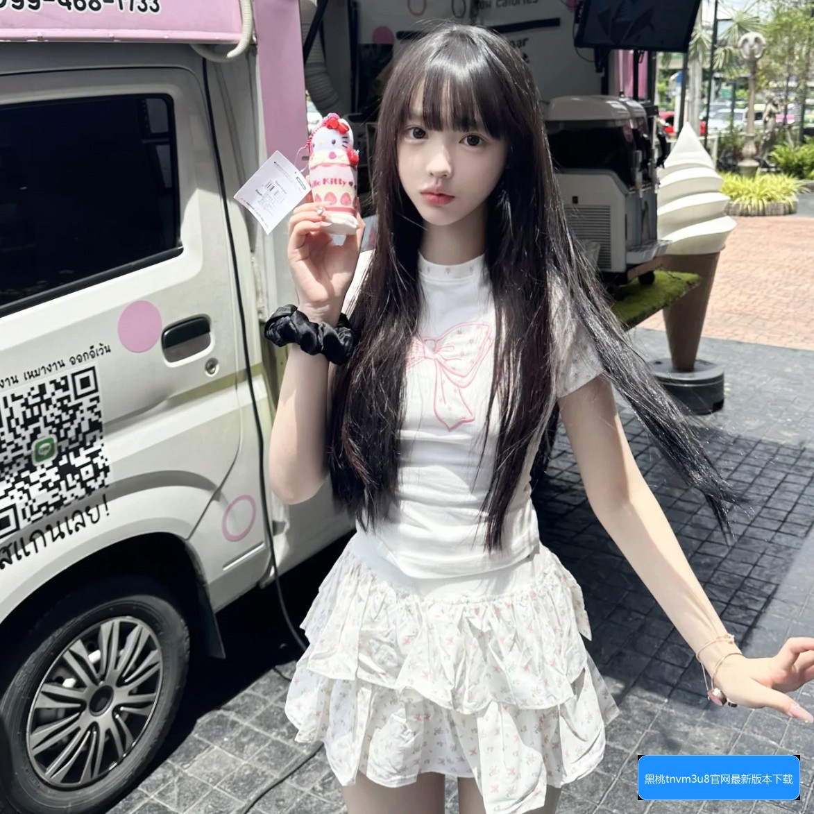 黑桃tnvm3u8最新版本怎么下载及其主要功能介绍