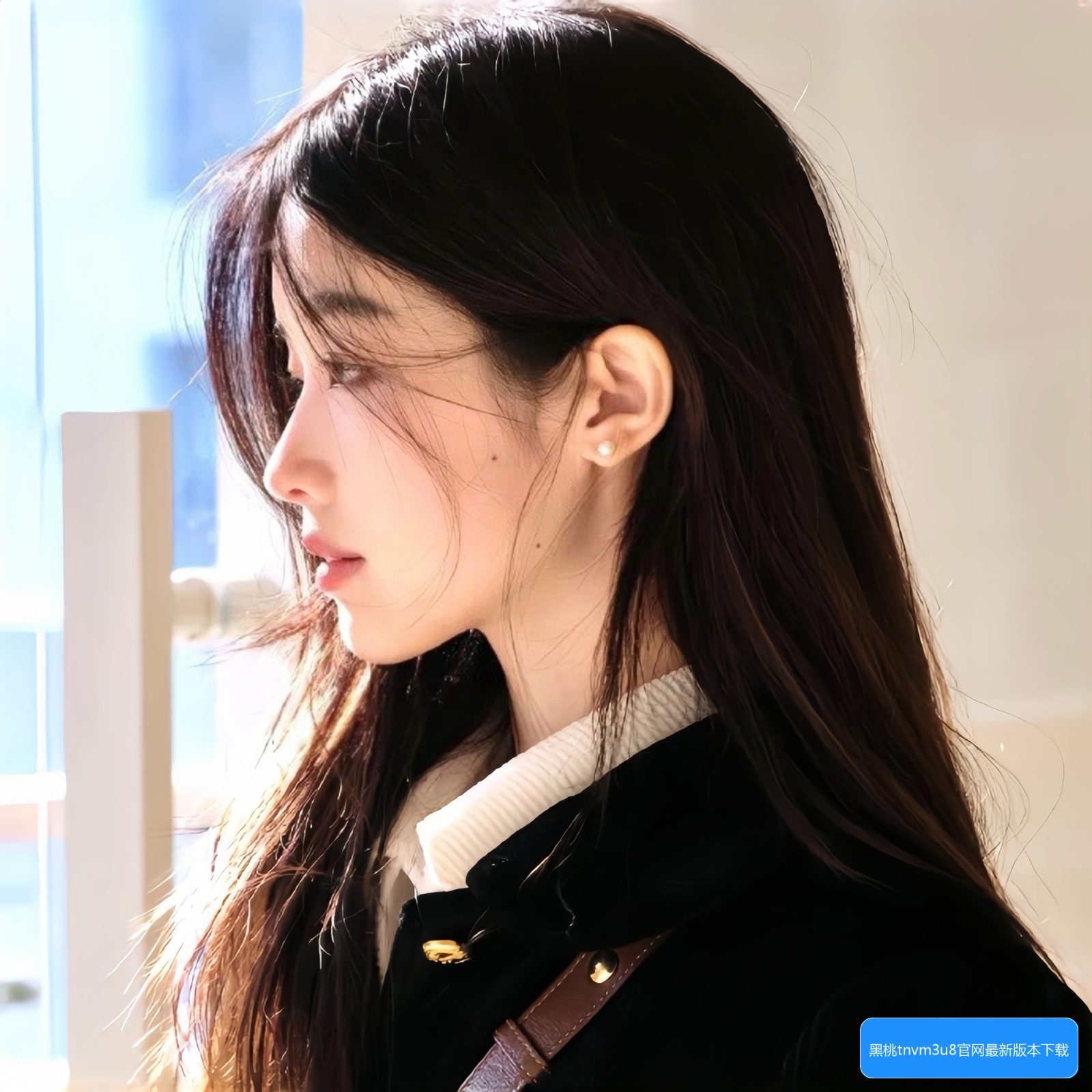 黑桃tnvm3u8官网最新版本怎么下载及使用指南