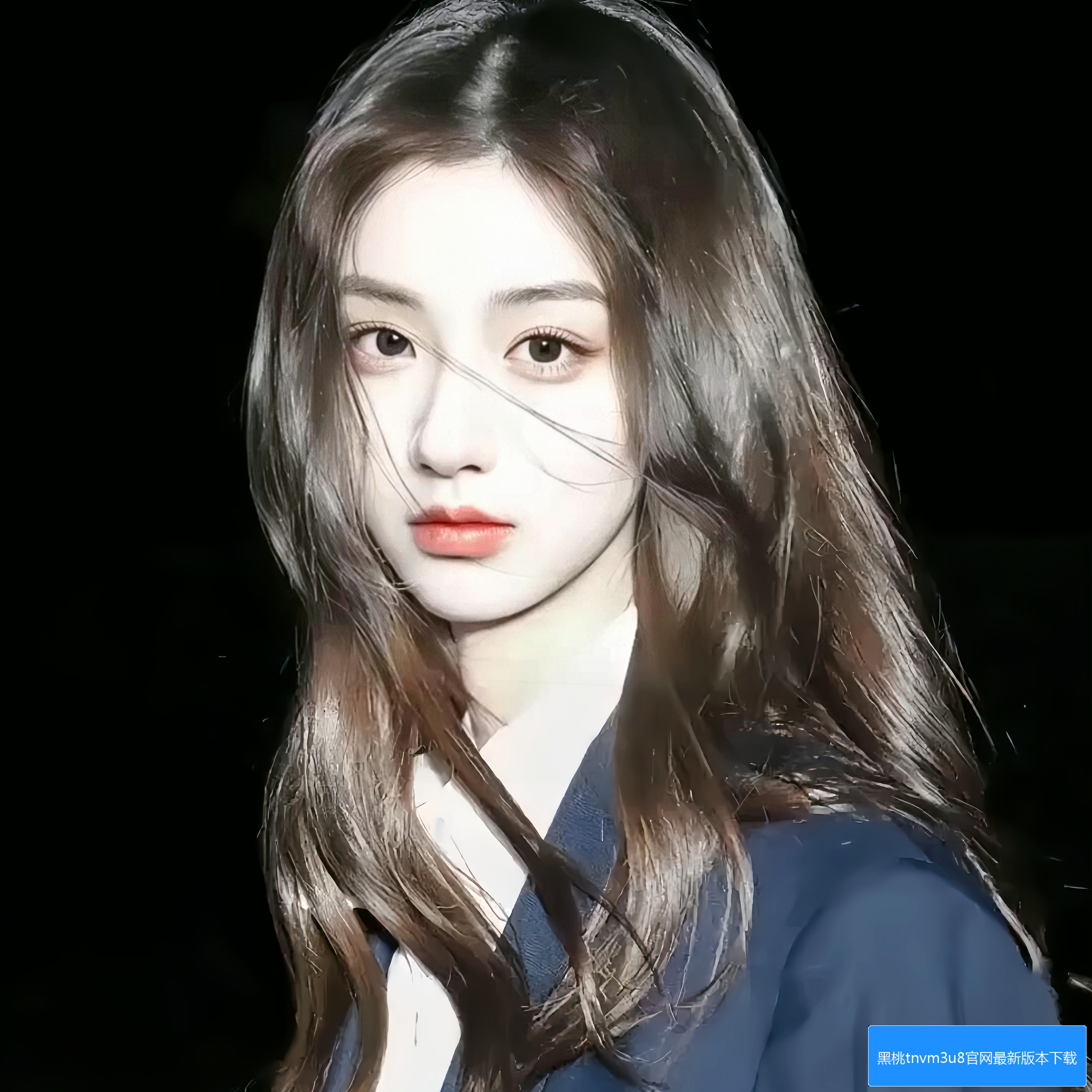 黑桃tnvm3u8下载界面